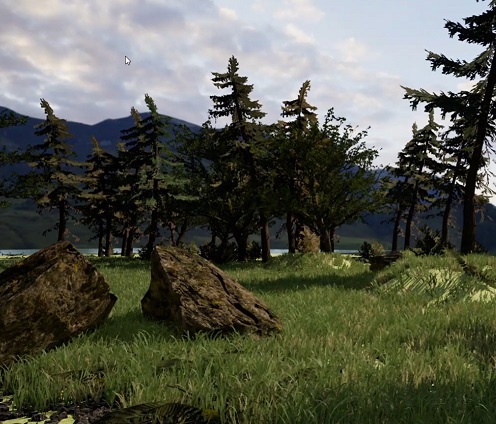 forest